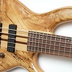 Bass-of-the-Week-05 NEWS Cort AP