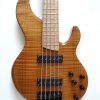 Dolan Custom Guitars Proteus Legacy 5 Bass Guitar