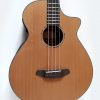 Breedlove Solo Acoustic Bass Guitar
